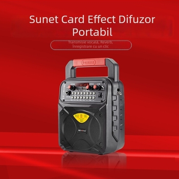 A1 Difuzor Bluetooth Portabil pentru Square Dance - 10W, 100Hz-20kHz, SNR >=75dB, 2000-4000mAh, baterie detașabilă