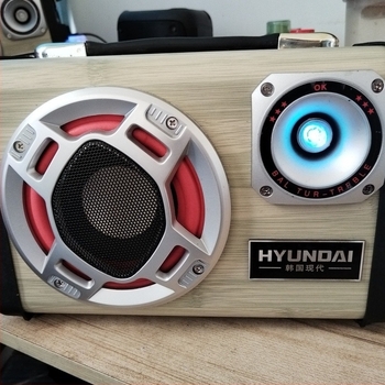 Subwoofer auto fără receptor Bluetooth, 12V-220V, Carcasă din aliaj de aluminiu, IPX4, 40Hz-20kHz, SNR ≥100dB, baterie încorporată 1200-2000mAh, SY-31 Carcasă PC