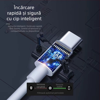 Cablu de date Type-C către Type-C cu PD Fast Charging, TPE, 100W, capăt unic