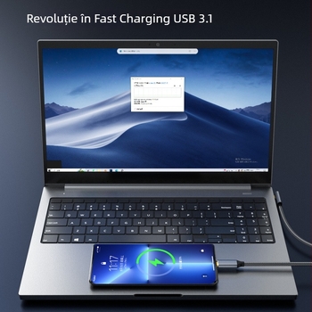 Cablu de date USB-C la USB-C Gen2, 10Gbps, 100W PD, 1 m lungime