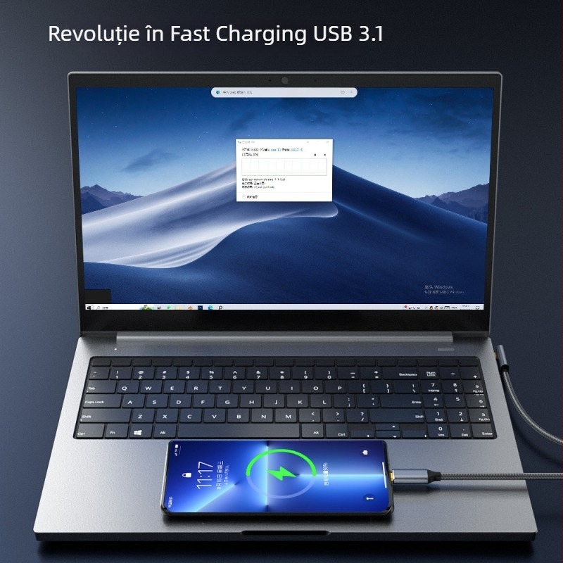 Cablu de date USB-C la USB-C Gen2, 10Gbps, 100W PD, 1 m lungime