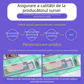 Mouse optic fără fir cu mod dual (Bluetooth + 2.4G), 1600 DPI, 5 butoane, interfață USB, design ergonomic