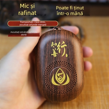 Player Bluetooth pentru muzică, cu slot pentru card, portabil pentru ascultare acasă, sunet HD, butoane digitale și ecran