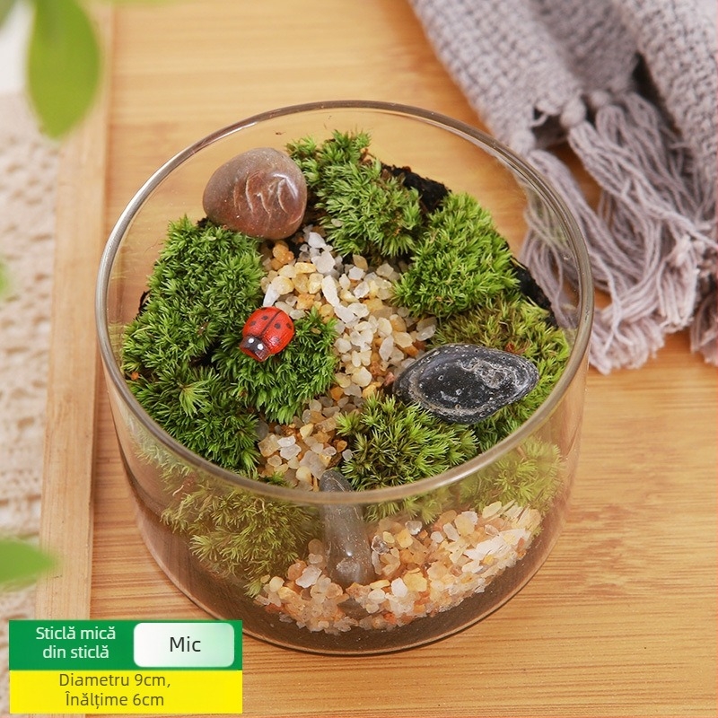 Kit DIY Peisaj cu Mușchi — materiale pentru sticle cilindrice, activități creative pentru familie, mini plante verzi, cadou de afaceri