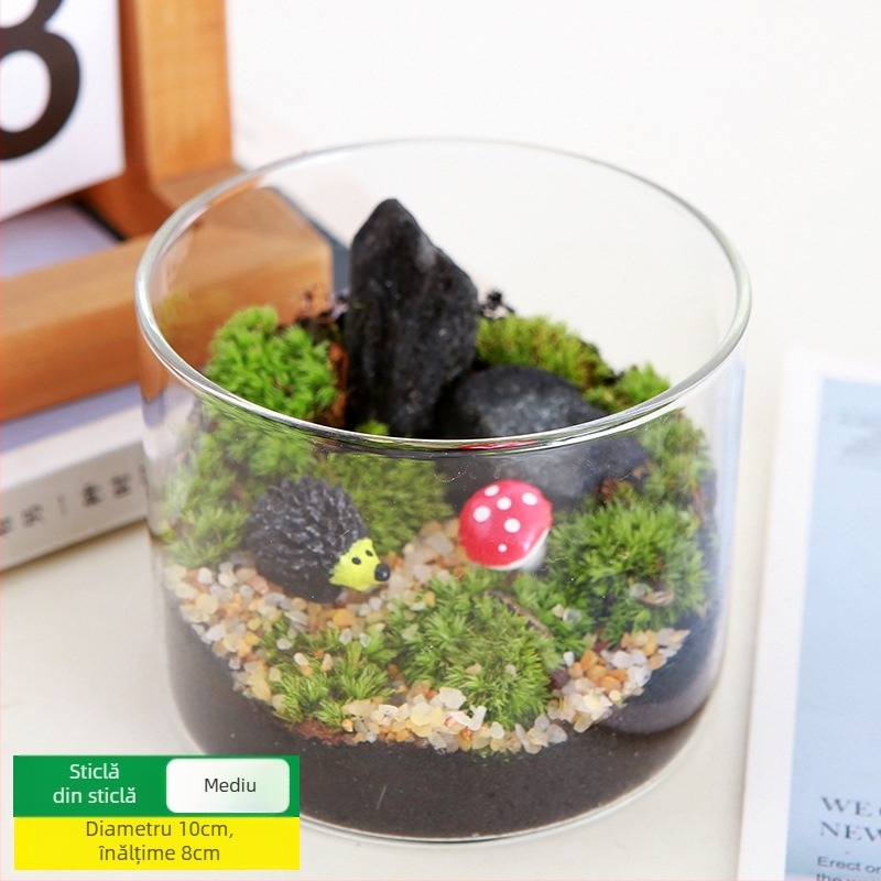 Kit DIY Peisaj cu Mușchi — materiale pentru sticle cilindrice, activități creative pentru familie, mini plante verzi, cadou de afaceri