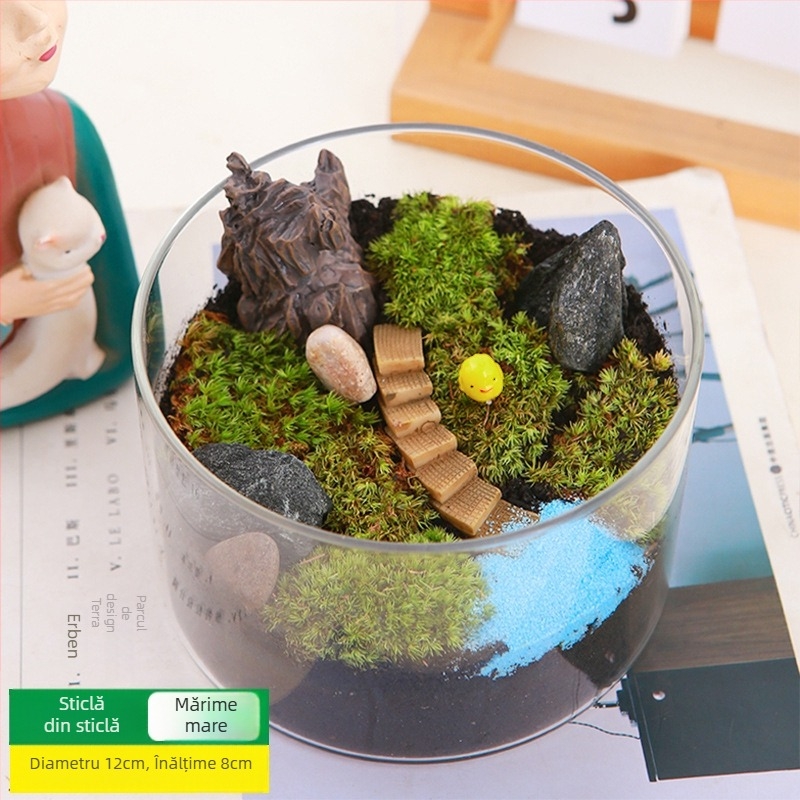 Kit DIY Peisaj cu Mușchi — materiale pentru sticle cilindrice, activități creative pentru familie, mini plante verzi, cadou de afaceri