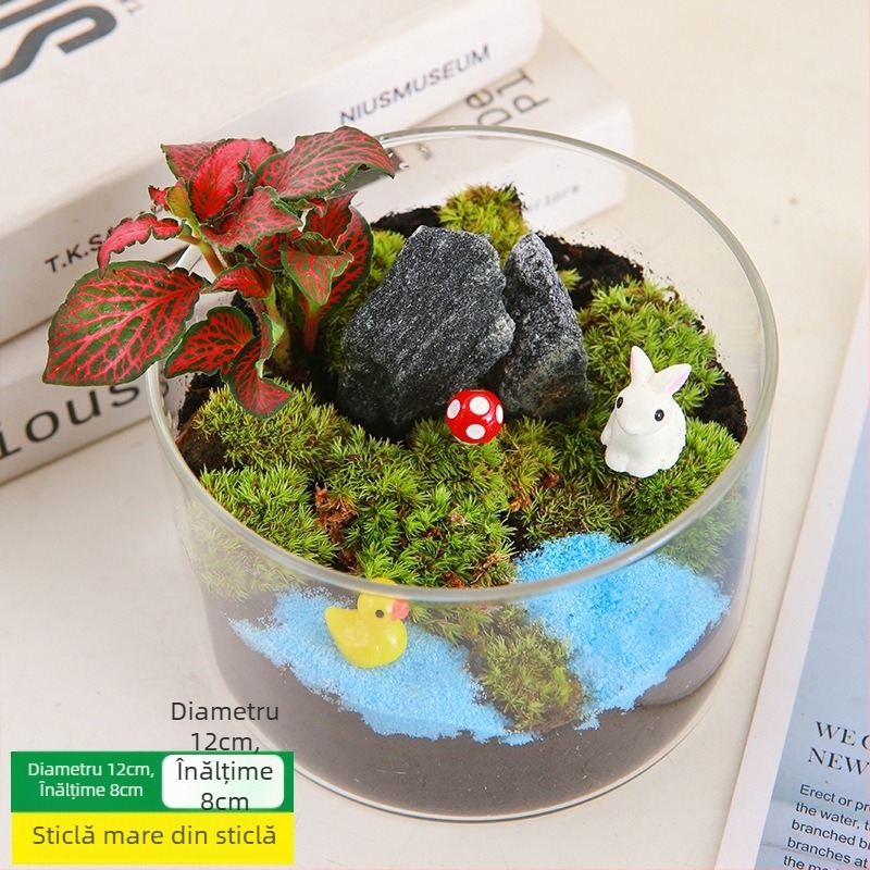 Kit DIY Peisaj cu Mușchi — materiale pentru sticle cilindrice, activități creative pentru familie, mini plante verzi, cadou de afaceri
