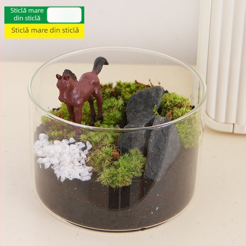 Kit DIY Peisaj cu Mușchi — materiale pentru sticle cilindrice, activități creative pentru familie, mini plante verzi, cadou de afaceri