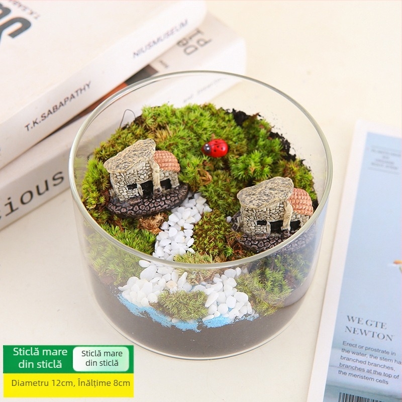 Kit DIY Peisaj cu Mușchi — materiale pentru sticle cilindrice, activități creative pentru familie, mini plante verzi, cadou de afaceri