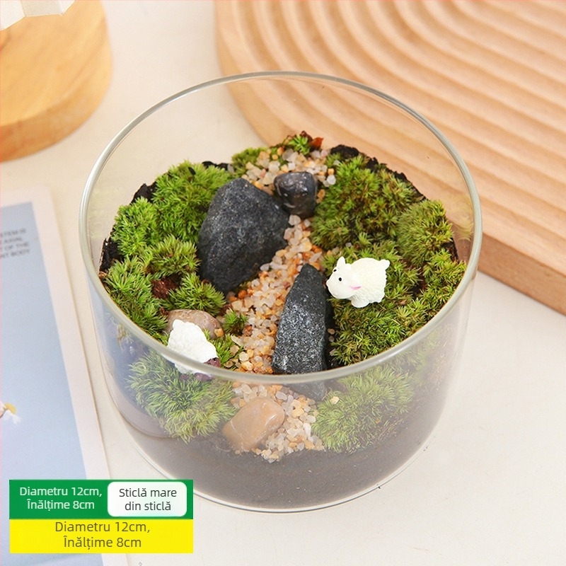 Kit DIY Peisaj cu Mușchi — materiale pentru sticle cilindrice, activități creative pentru familie, mini plante verzi, cadou de afaceri