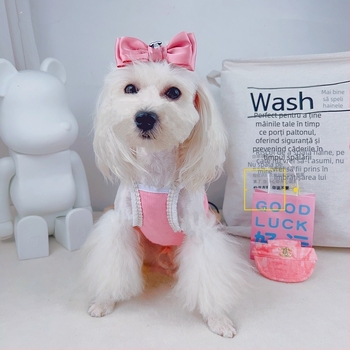 Accesorii de păr pentru animale de companie (câini și pisici), poliester, stil Prințesa Vânt, decor cu funda, origine Guangdong