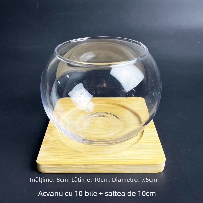 Sticluță din sticlă cu mușchi, peisaj ecologic în miniatură pentru acvariu cu pești aurii — deschidere rotundă, suculente; Brand: Small Space Big World; Ambalaj: carton; Afișare: pe suprafață