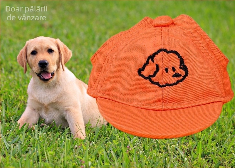 Șapcă pentru câini – baseball cap cu broderie, material plastic, țesătură Twill, stil Japonia și Coreea de Sud, potrivit pentru patru anotimpuri