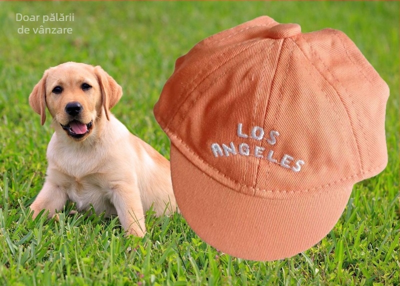 Șapcă pentru câini – baseball cap cu broderie, material plastic, țesătură Twill, stil Japonia și Coreea de Sud, potrivit pentru patru anotimpuri
