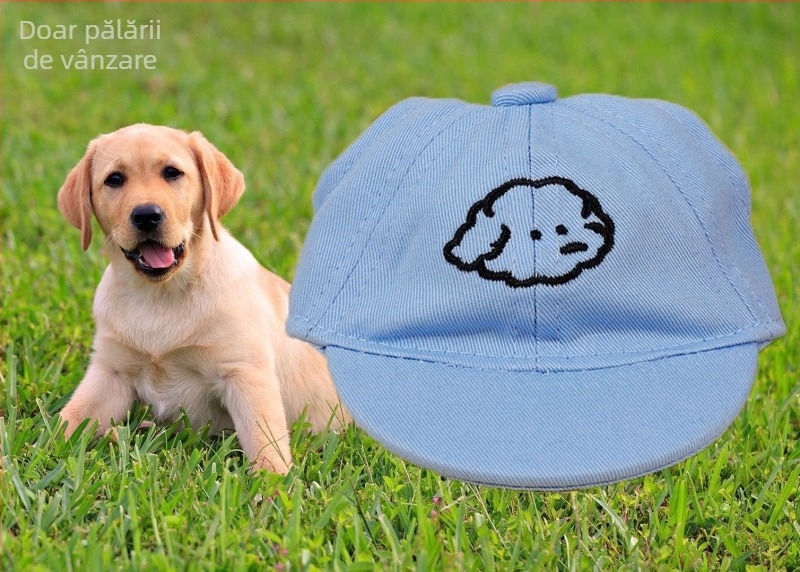 Șapcă pentru câini – baseball cap cu broderie, material plastic, țesătură Twill, stil Japonia și Coreea de Sud, potrivit pentru patru anotimpuri