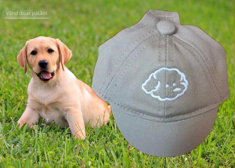 Șapcă pentru câini – baseball cap cu broderie, material plastic, țesătură Twill, stil Japonia și Coreea de Sud, potrivit pentru patru anotimpuri