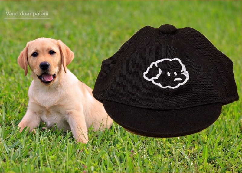Șapcă pentru câini – baseball cap cu broderie, material plastic, țesătură Twill, stil Japonia și Coreea de Sud, potrivit pentru patru anotimpuri