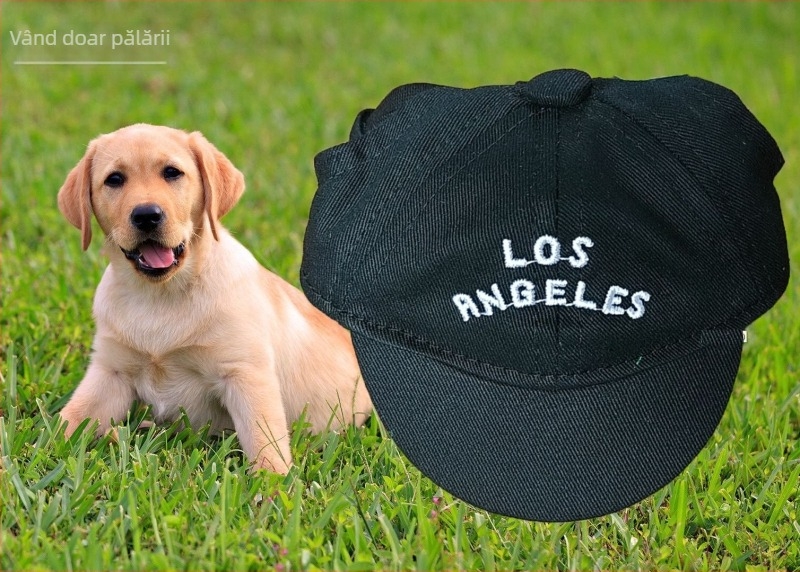 Șapcă pentru câini – baseball cap cu broderie, material plastic, țesătură Twill, stil Japonia și Coreea de Sud, potrivit pentru patru anotimpuri