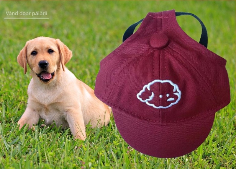 Șapcă pentru câini – baseball cap cu broderie, material plastic, țesătură Twill, stil Japonia și Coreea de Sud, potrivit pentru patru anotimpuri
