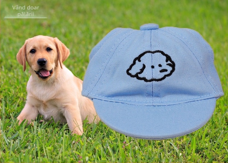 Șapcă pentru câini – baseball cap cu broderie, material plastic, țesătură Twill, stil Japonia și Coreea de Sud, potrivit pentru patru anotimpuri