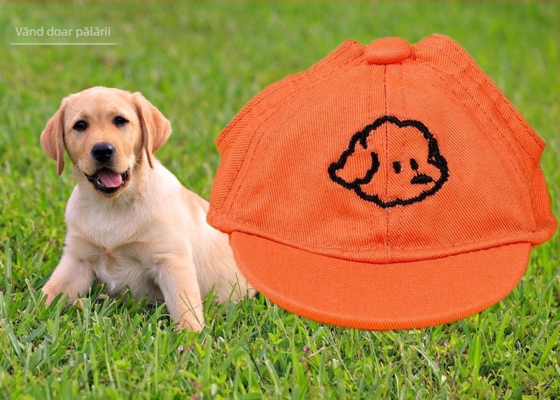 Șapcă pentru câini – baseball cap cu broderie, material plastic, țesătură Twill, stil Japonia și Coreea de Sud, potrivit pentru patru anotimpuri