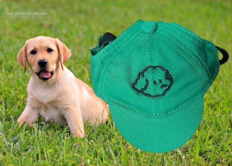 Șapcă pentru câini – baseball cap cu broderie, material plastic, țesătură Twill, stil Japonia și Coreea de Sud, potrivit pentru patru anotimpuri