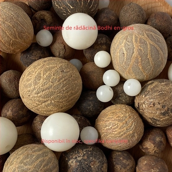 Bijuterii Bodhi rădăcină — lucrate manual, gravate, naturale, lustruite; stil modern minimalist; lansare iarna 2024