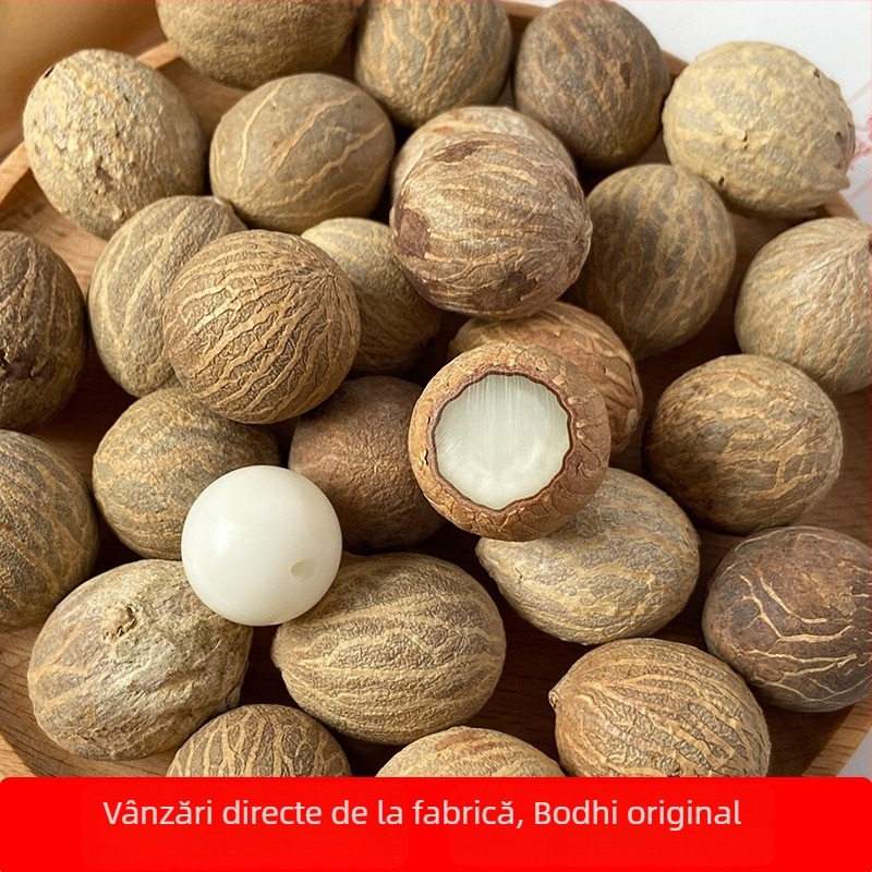 Bijuterii Bodhi rădăcină — lucrate manual, gravate, naturale, lustruite; stil modern minimalist; lansare iarna 2024