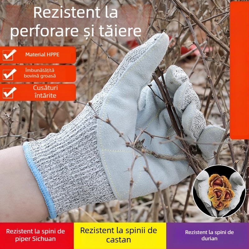 Mănuși HPPE anti-tăiere – Nivel 5, Anti-zgârieturi, Anti-derapare, pentru bucătărie și grădină, Greutate 75