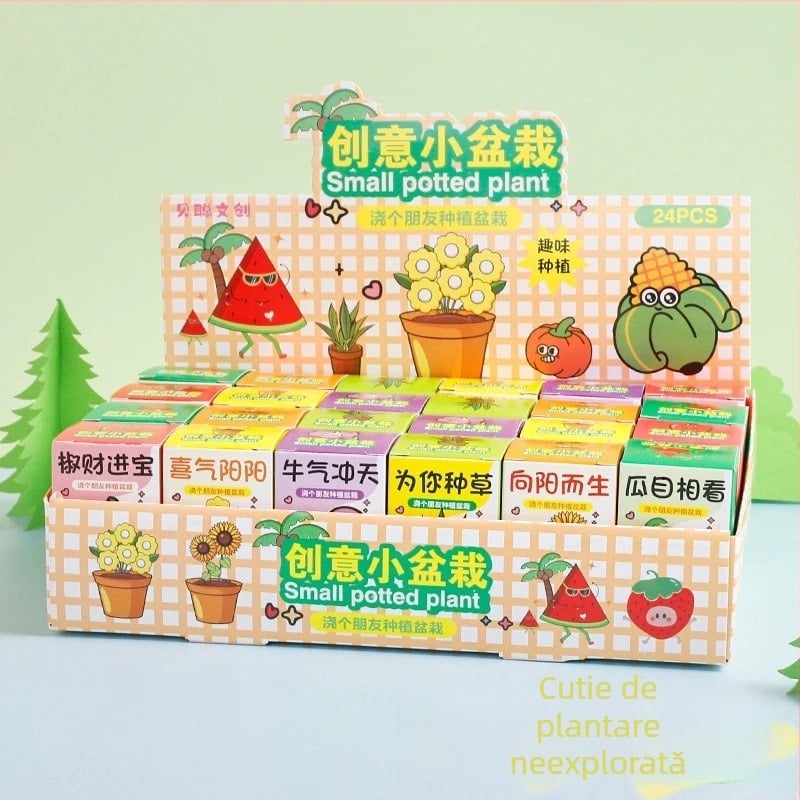 Set de plantare în cutie de tip cartoon pentru birou — observație a creșterii, semințe de flori, temperatură normală, iluminare neutră