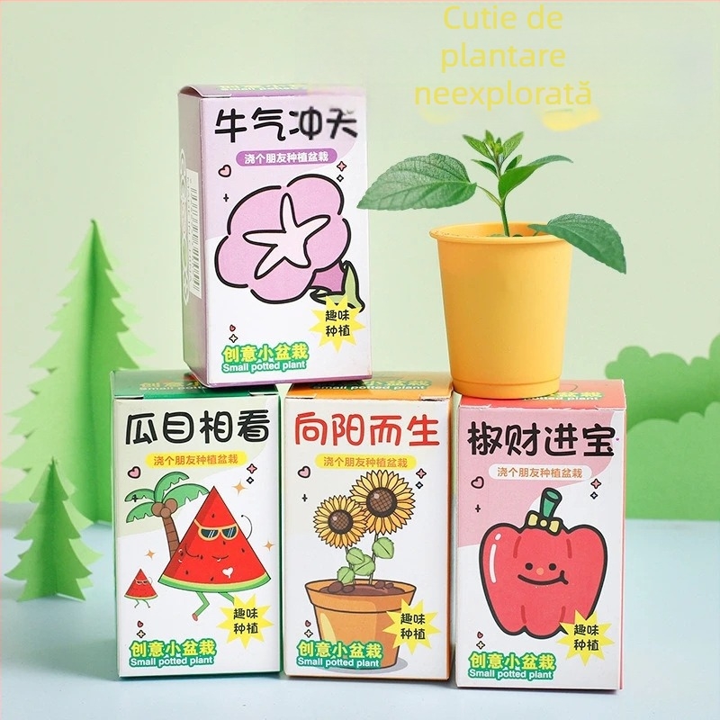 Set de plantare în cutie de tip cartoon pentru birou — observație a creșterii, semințe de flori, temperatură normală, iluminare neutră
