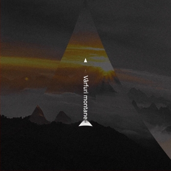 Adidași femei, vârf rotund, piele sintetică, toc plat 1–3 cm, încălțăminte casual zilnic