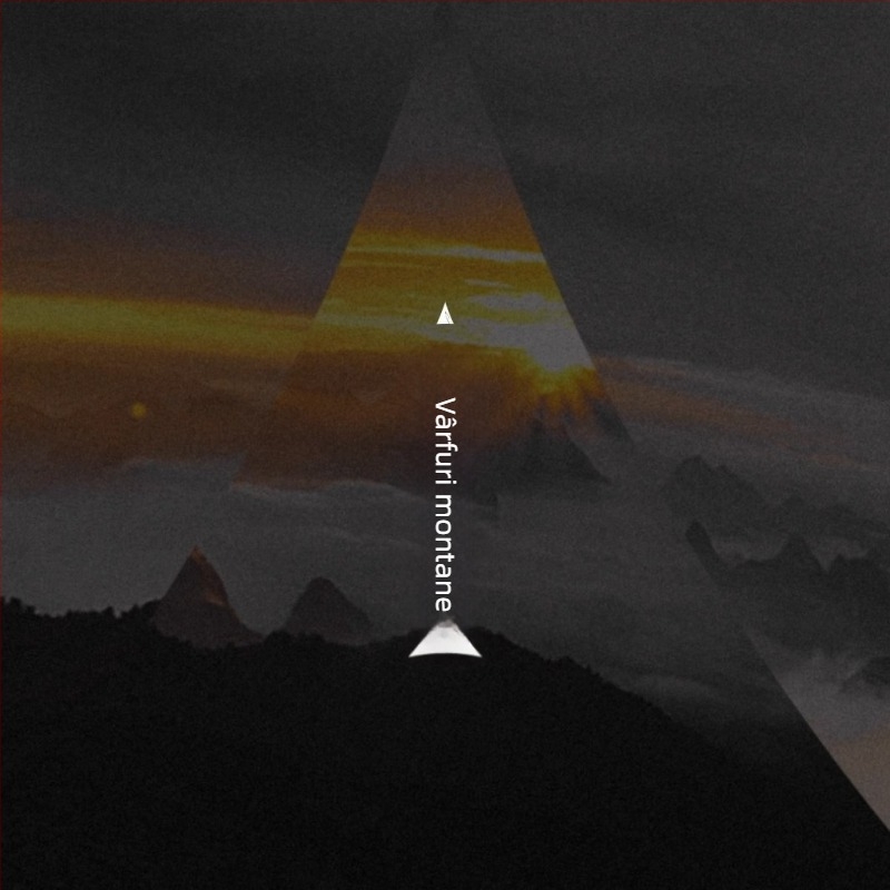 Adidași femei, vârf rotund, piele sintetică, toc plat 1–3 cm, încălțăminte casual zilnic