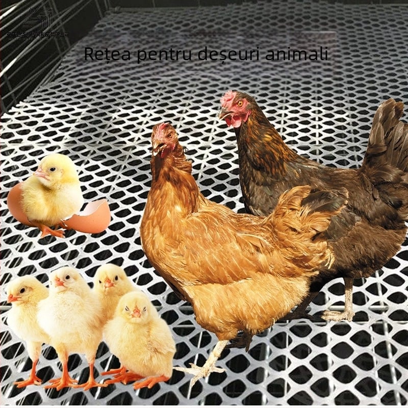Plasă de creștere pentru păsări – anti-alunecare, protecție împotriva scurgerilor, plasă din plastic pentru creștere/îngrijire