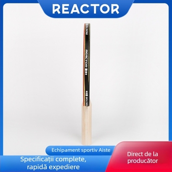 Astor K201 rachetă de tenis de masă pentru începători, placă de bază din plop cu 5 straturi, gumă reverse glue, lovitură orizontală, pachet unic