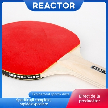 Astor K201 rachetă de tenis de masă pentru începători, placă de bază din plop cu 5 straturi, gumă reverse glue, lovitură orizontală, pachet unic