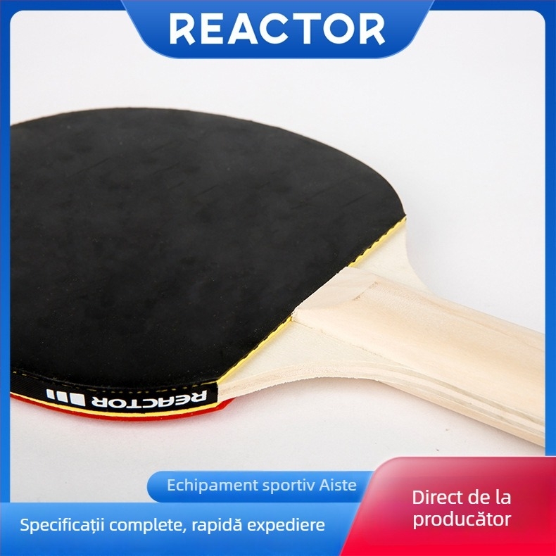 Astor K201 rachetă de tenis de masă pentru începători, placă de bază din plop cu 5 straturi, gumă reverse glue, lovitură orizontală, pachet unic