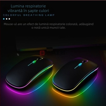 Mouse fără fir silențios, 2,4 GHz, iluminare duală, senzor laser, design ergonomic (DN03)