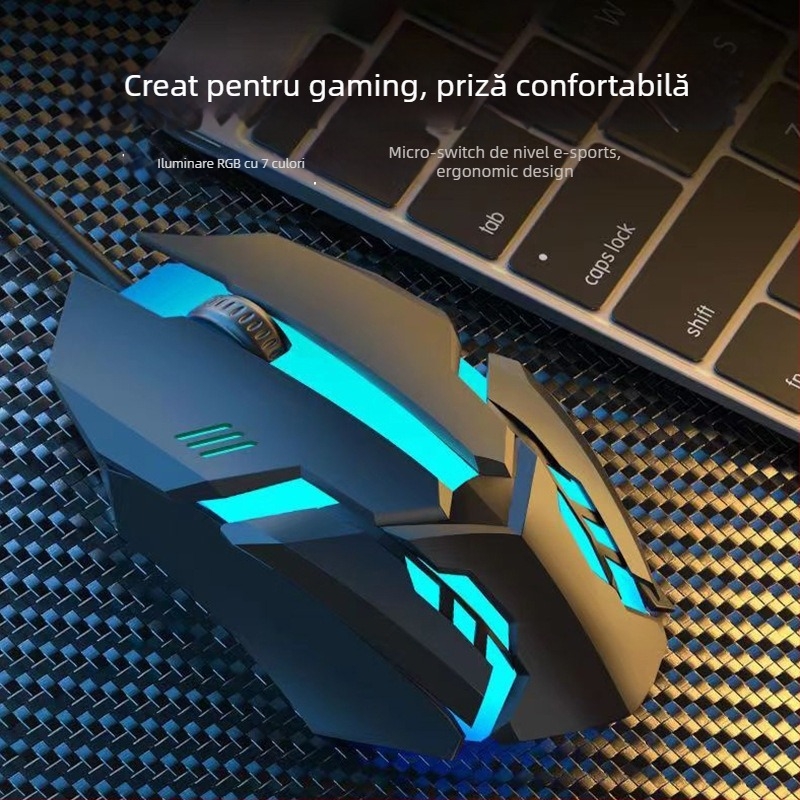 Mouse optic USB cu fir, senzor 1200 DPI, 3 butoane, cablu de 1,2 m, pentru PC-uri desktop