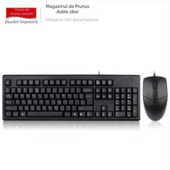 Set tastatură și mouse cu fir de la Double Flying Swallow, tastatură USB și mouse USB