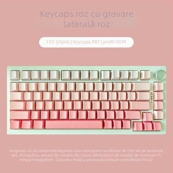 Taoyao capace de taste gravate lateral gradient translucide, set complet de 133 taste, ABS material, compatibile cu tastaturi 68/75/87/98/108, garanție de 1 an