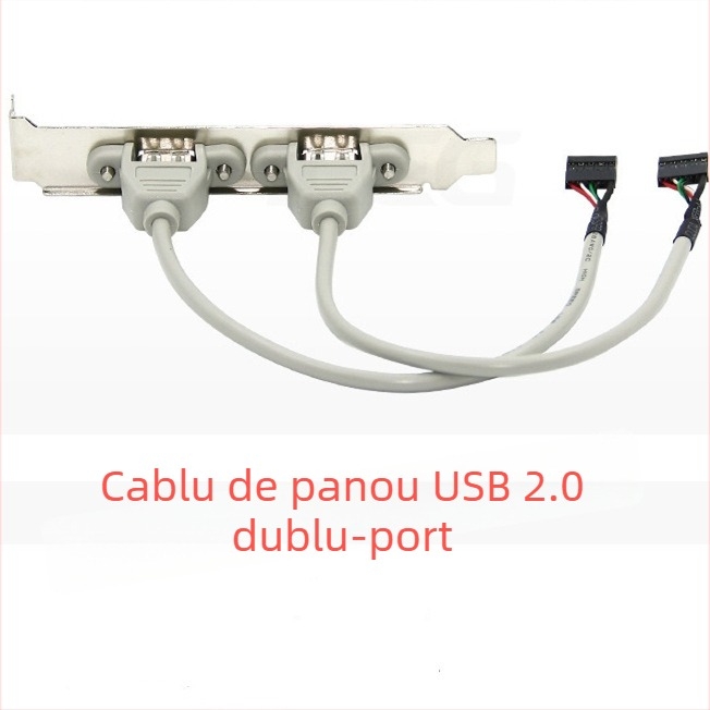 Cablu USB 2.0 pentru panoul posterior cu două porturi pentru carcasa PC, lungime 0,3 m, conductor din cupru, turnare prin injecție