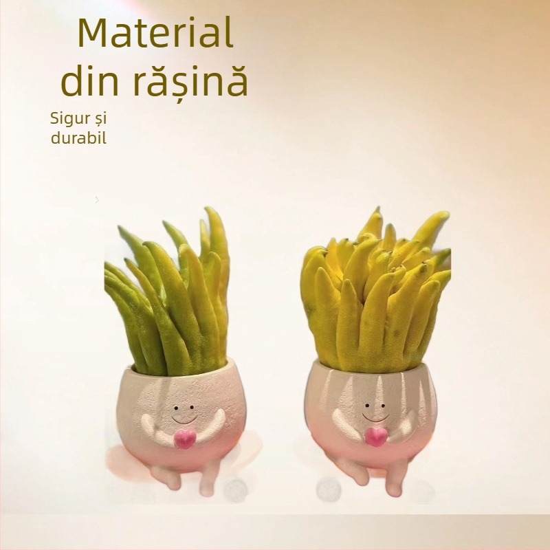 Ghiveci din rășină pentru suculente, cu zâmbet pe față și motiv skateboard – recipient mic, creativ pentru balcon, interior și grădină, durabil, gata de cadou