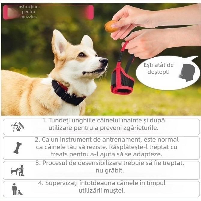 Muzzle pentru câini, poliester respirabil, anti- mușcare, anti-lătrat, cutie cu 50 de bucăți
