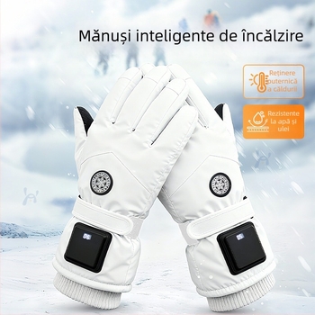 Mănuși încălzite cu USB pentru iarnă – Unisex, pentru adulți, Material catifea, în stoc