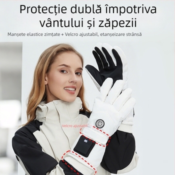 Mănuși încălzite cu USB pentru iarnă – Unisex, pentru adulți, Material catifea, în stoc