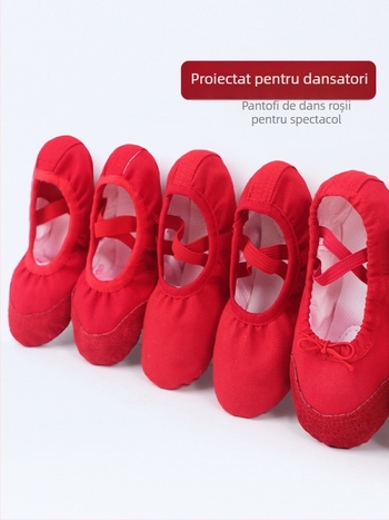 Pantofi de dans pentru fete - Partea superioară din pânză, talpă din piele, grosime unică, respirabili și ușori pentru antrenament de balet