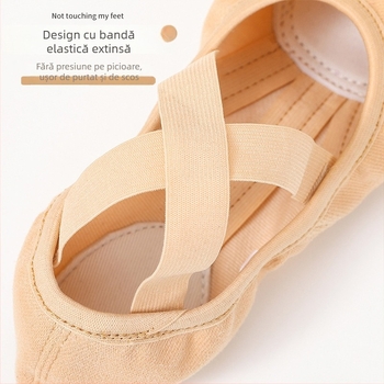 Pantofi de dans – Unisex, pentru adulți, partea superioară Lycra elastică, talpă din piele, balet și dans modern (Toate sezoanele)