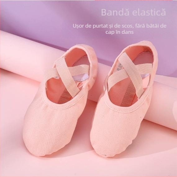 Pantofi de dans – Unisex, pentru adulți, partea superioară Lycra elastică, talpă din piele, balet și dans modern (Toate sezoanele)