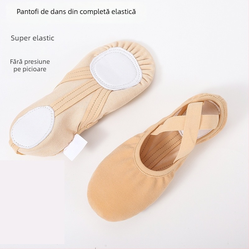 Pantofi de dans – Unisex, pentru adulți, partea superioară Lycra elastică, talpă din piele, balet și dans modern (Toate sezoanele)